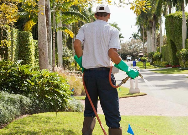 About Randolph VA Pest Control